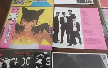 Amazon.co.jp: ブラック、キャッツ BLACK、CATS