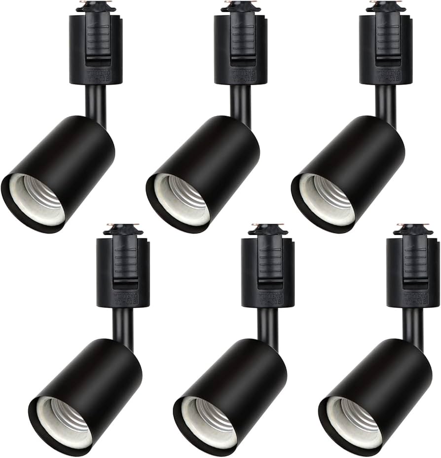 Amazon | Zevnico ダクトレール スポットライト 6個セット ダクト