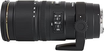 Amazon.com : Sigma 70-200mm f/2.8 APO EX DG HSM OS FLD Large