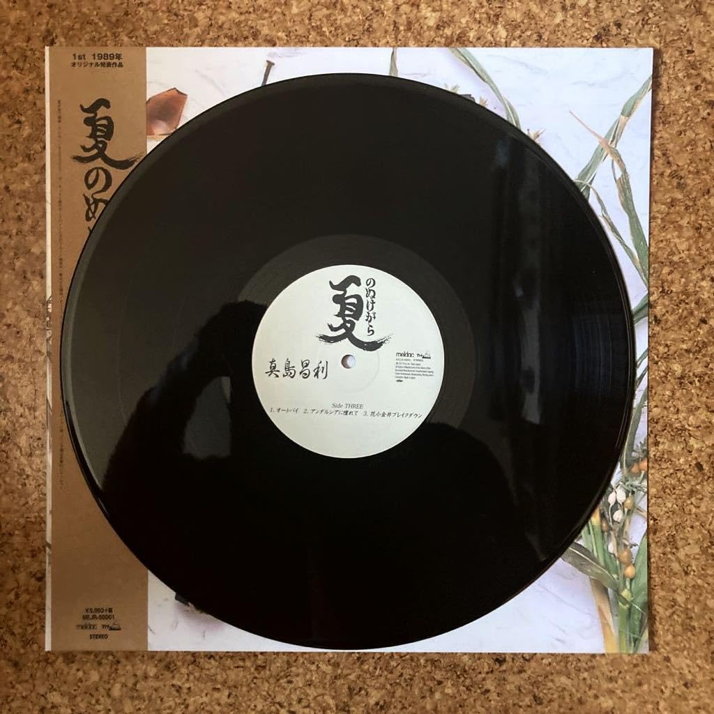 Amazon.co.jp: 廃盤 帯付き2LP真島昌利「夏のぬけがら」ブルーハーツ