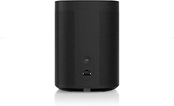 Amazon.com: Sonos One (2019) - Black : Electronics