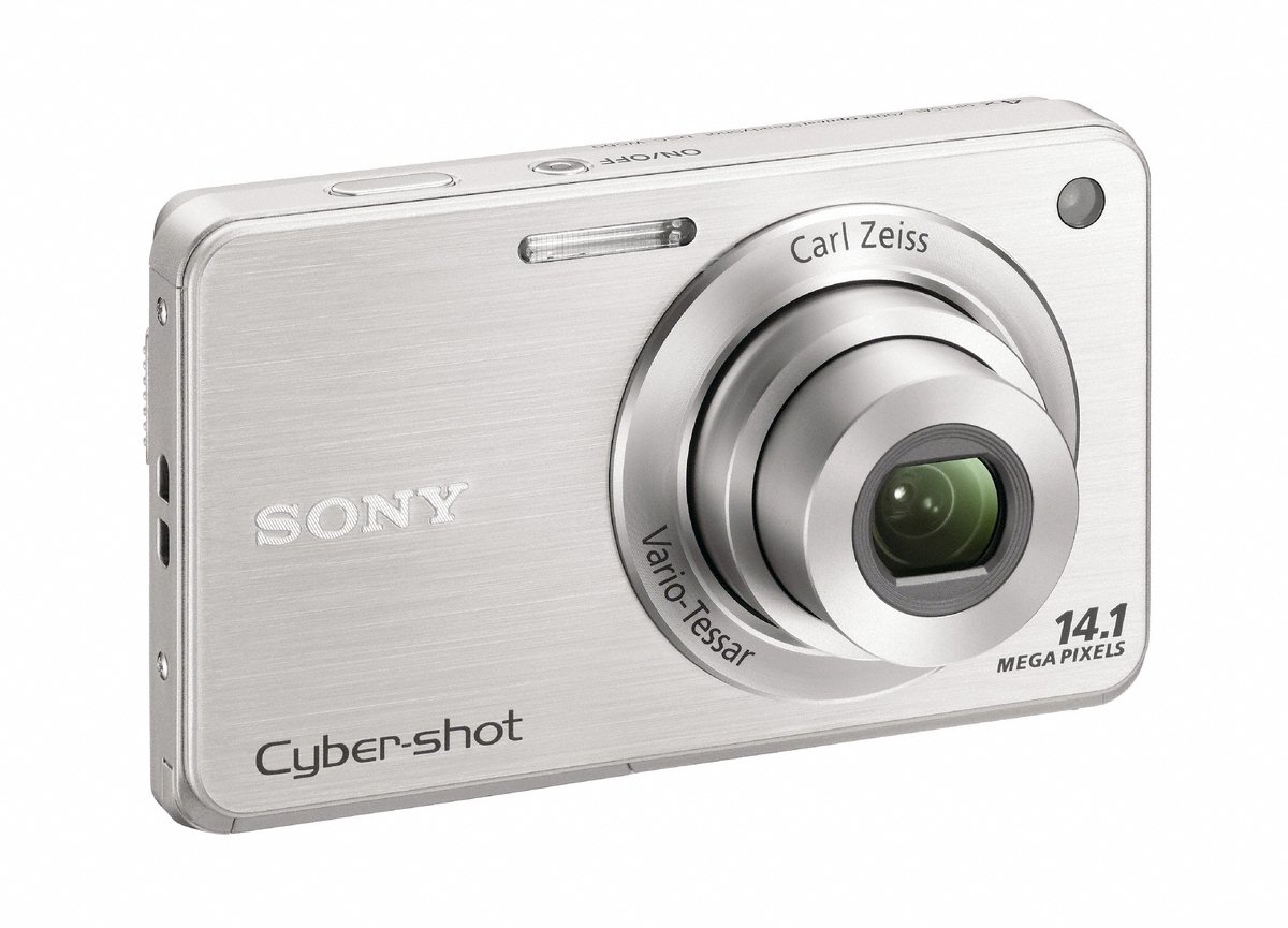 Amazon.com : Sony Cyber-Shot DSC-W560 14.1 MP Digital Still Camera