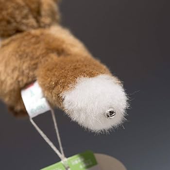 Amazon.co.jp: たけのこ プチ森のなかま キーホルダー キツネ