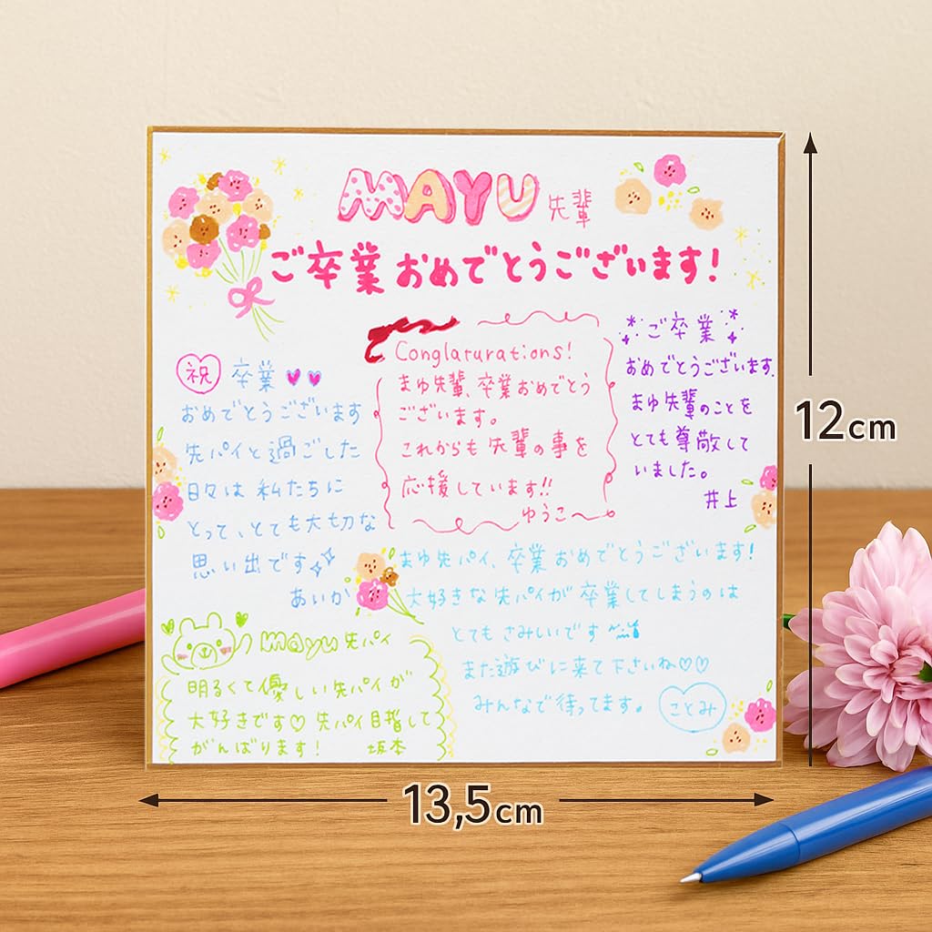 Amazon | ミニ色紙 寸松庵サイズ 約120×135mm 10枚セット 無地 サイン