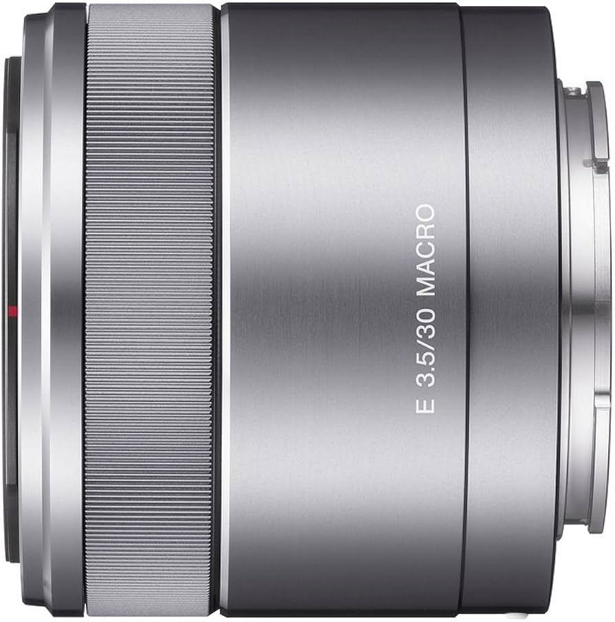 Amazon.com : SONY SEL30M35 E 30mm F3.5 Macro Lens for E Mount from