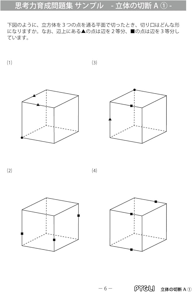 思考力育成問題集38立体の切断A① (ピグマリオン|PYGLIシリーズ|中学校