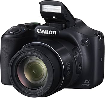 Amazon.com : Canon PowerShot SX530 HS 16.0 MP CMOS Digital Camera