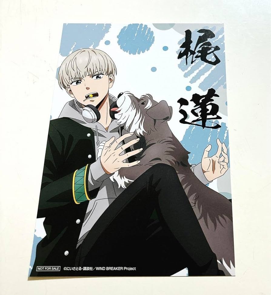 Amazon.co.jp: WIND BREAKER ウィンブレ LOFT 特典 イ カード 梶蓮