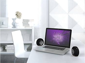 Amazon.co.jp: JBL Pebbles バスパワードスピーカー USB/DAC内蔵