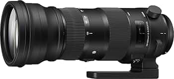Amazon.com : Sigma 150-600mm 5-6.3 Sports DG OS HSM Lens for Canon