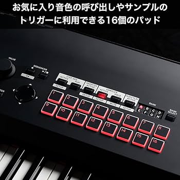 Amazon.co.jp: KORG コルグ キーボード シンセサイザー ステージ