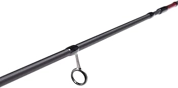 Amazon | アブガルシア(Abu Garcia) ライトオフショアゲームロッド