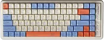 61FWLsG4foL._AC_UF350,