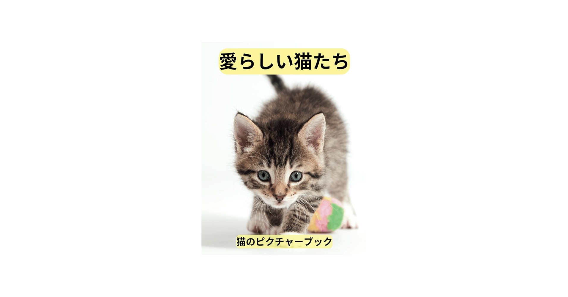 愛らしい猫たち: 猫のピクチャーブック: 心に癒しと穏やかな時間を