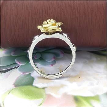 Amazon.co.jp: ローゼンメイデン 真紅 指輪 キャラクター風 コスプレ