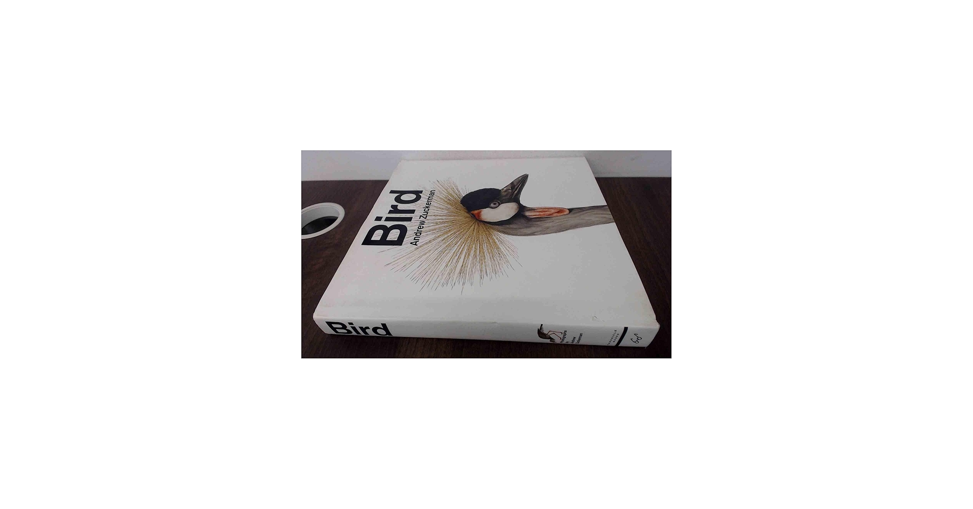 Amazon.com: Bird: 9780811870986: Zuckerman, Andrew: Books