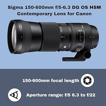 Amazon | Sigma (シグマ) 150～600mm 5～6.3 コンテンポラリー DG OS