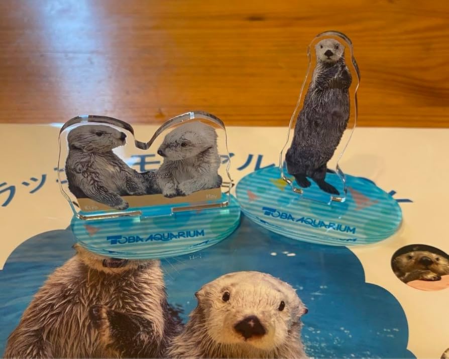 Amazon.co.jp: 鳥羽水族館 ラッコのメイとキラ 写真集 ラッコ