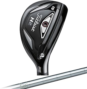 Amazon | TITLEIST(タイトリスト) ユーティリティ 816H2 NS950 S 19