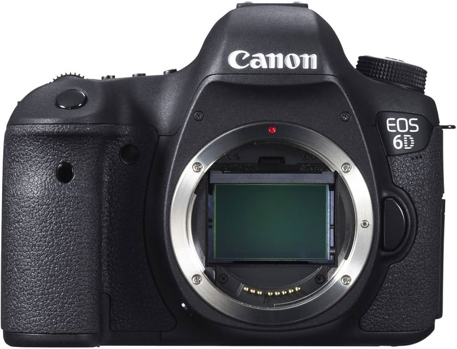 Amazon.com : Canon EOS 6D DSLR Camera (Body Only) (8035B002) + EOS