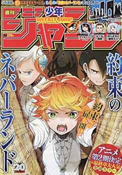 61Gv7b-ittL._AC_UF350,