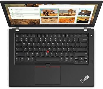 Amazon.com: Lenovo 14