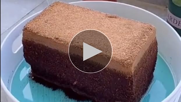 Amazon.com : Coco Coir Bricks 5-Pack (650g Each) – Peat-Free