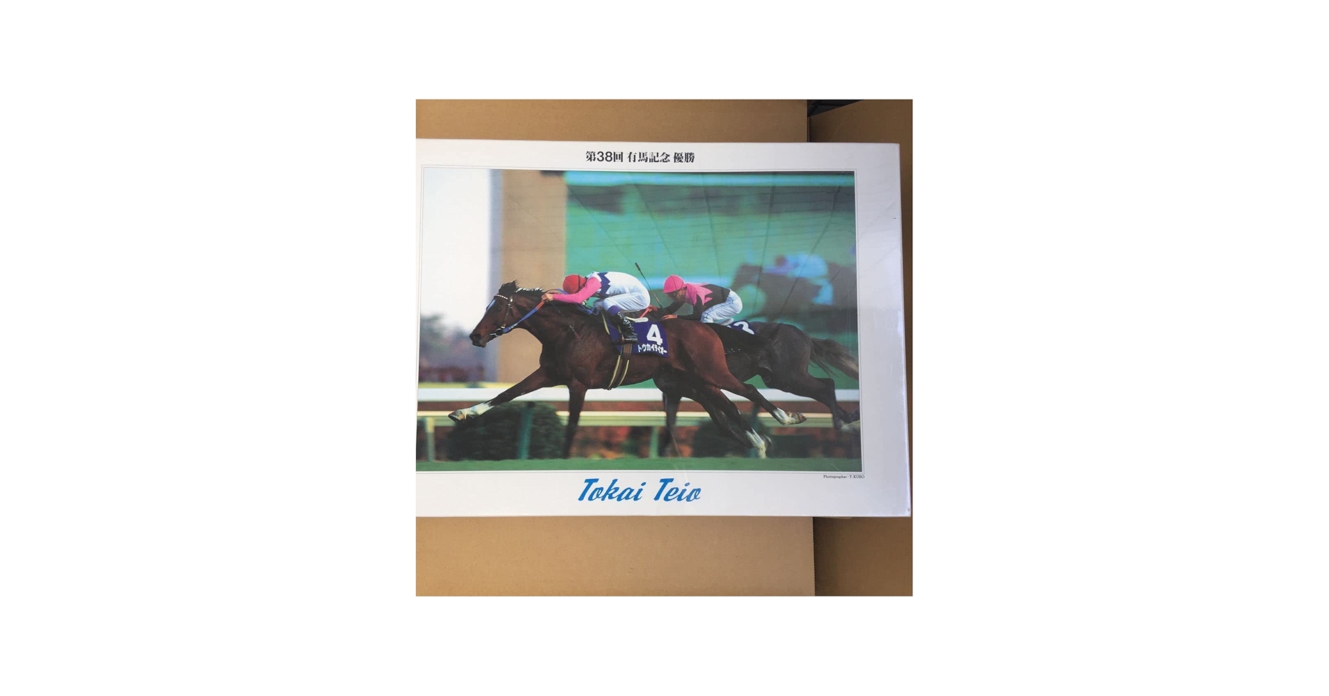 Amazon | 第38回 G1 有馬記念 優勝 トウカイテイオー TOKAI TEIO 競馬