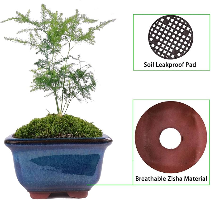 61HTzJ1EM-L._AC_UF894,