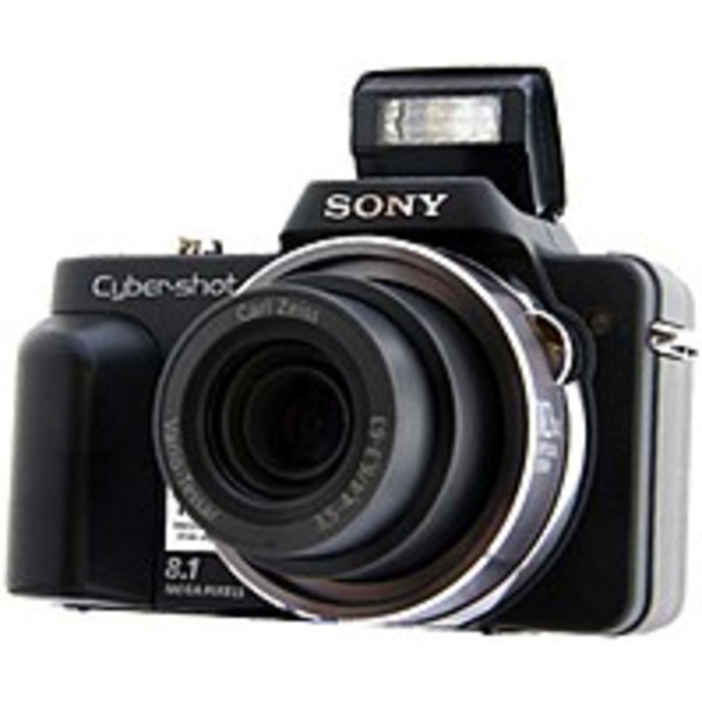 Amazon.com : Sony Cyber-shot DSC-H3 8.1 MP Digital Camera with 10x