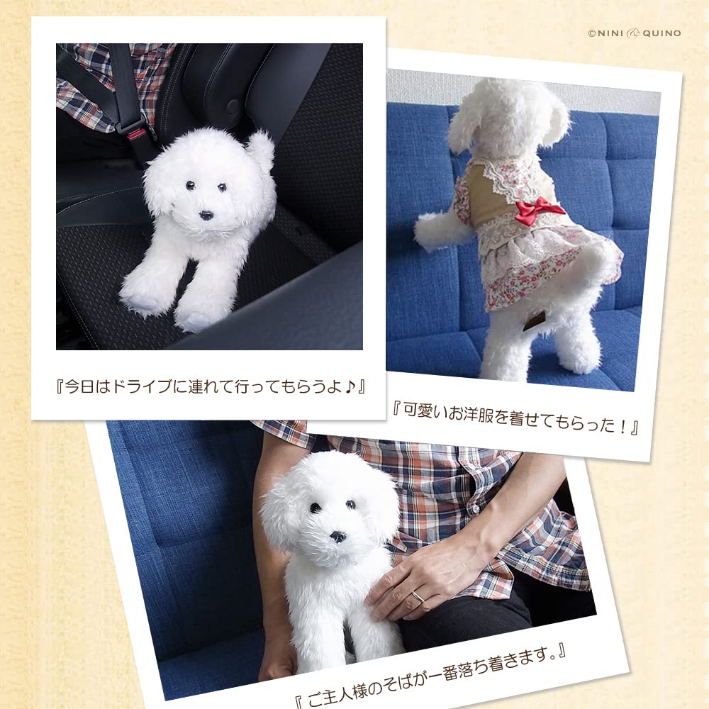 Amazon.co.jp: ニニアンドキノ ぬいぐるみ 犬 リアル トイプードル