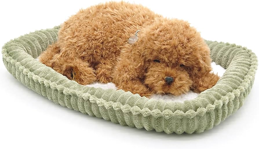 Amazon.co.jp: ニニアンドキノ パーフェクトペット (小サイズ) トイ