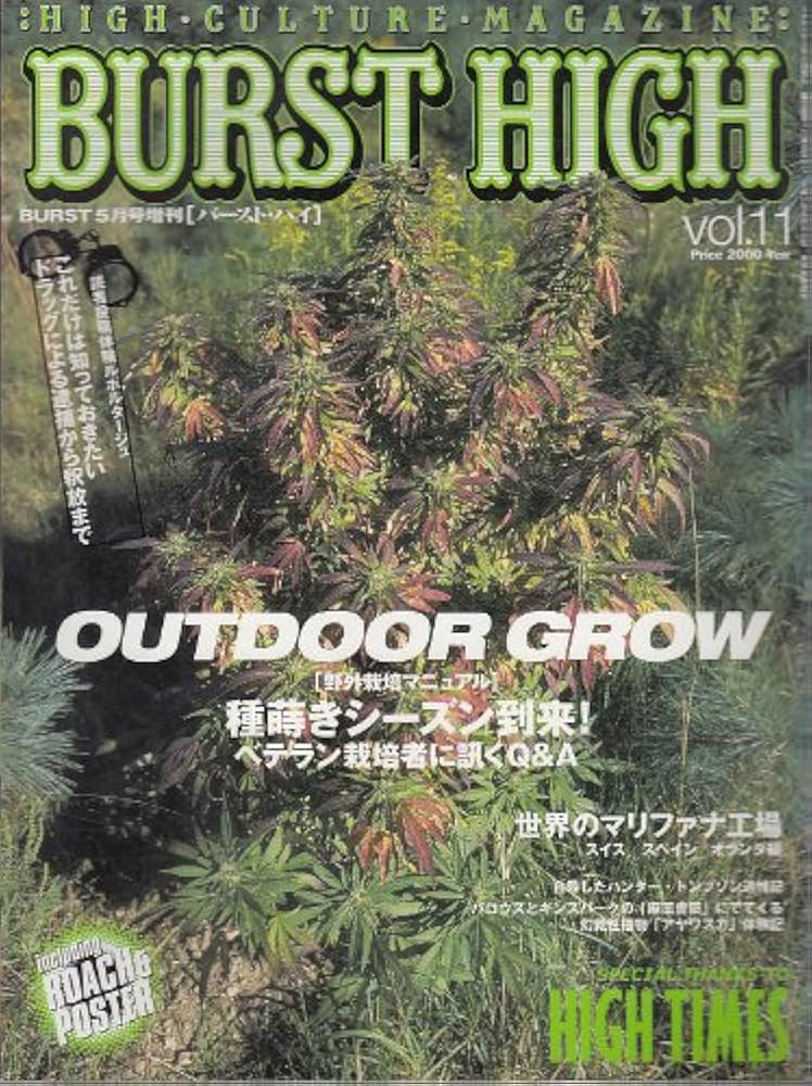 BURST HIGH (バースト・ハイ) vol.11 [雑誌] | コアマガジン |本