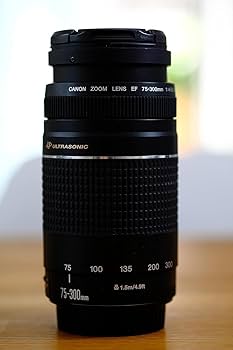 Amazon.co.jp: Canon EFレンズ EF75-300mm F4-5.6 IIIズームレンズ
