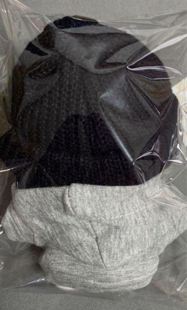 Amazon.co.jp: enhpyen ジョンウォン ぬいぐるみ 10cm マスター : おもちゃ