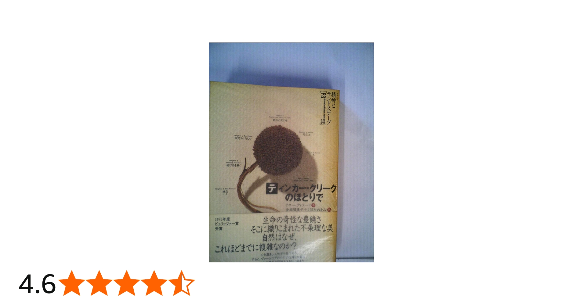 ティンカー・クリークのほとりで (シリーズ精神とランドスケープ