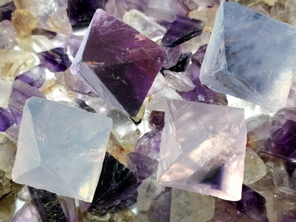 Amazon | SCIENCE ミニ鉱物標本 天才の石 「蛍石 八面体 フローライト