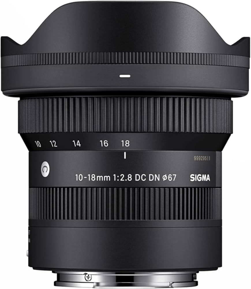 Sigma 10-18mm f/2.8 DC DN Contemporary Lens for Sony E : Amazon.in