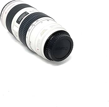 Amazon.com : Canon EF 70-200mm f/2.8L is USM Telephoto Zoom Lens