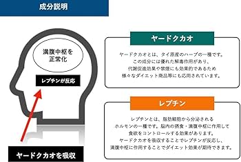Amazon.co.jp: ニコチンタールなしダイエットシーシャ本体＋全7種類