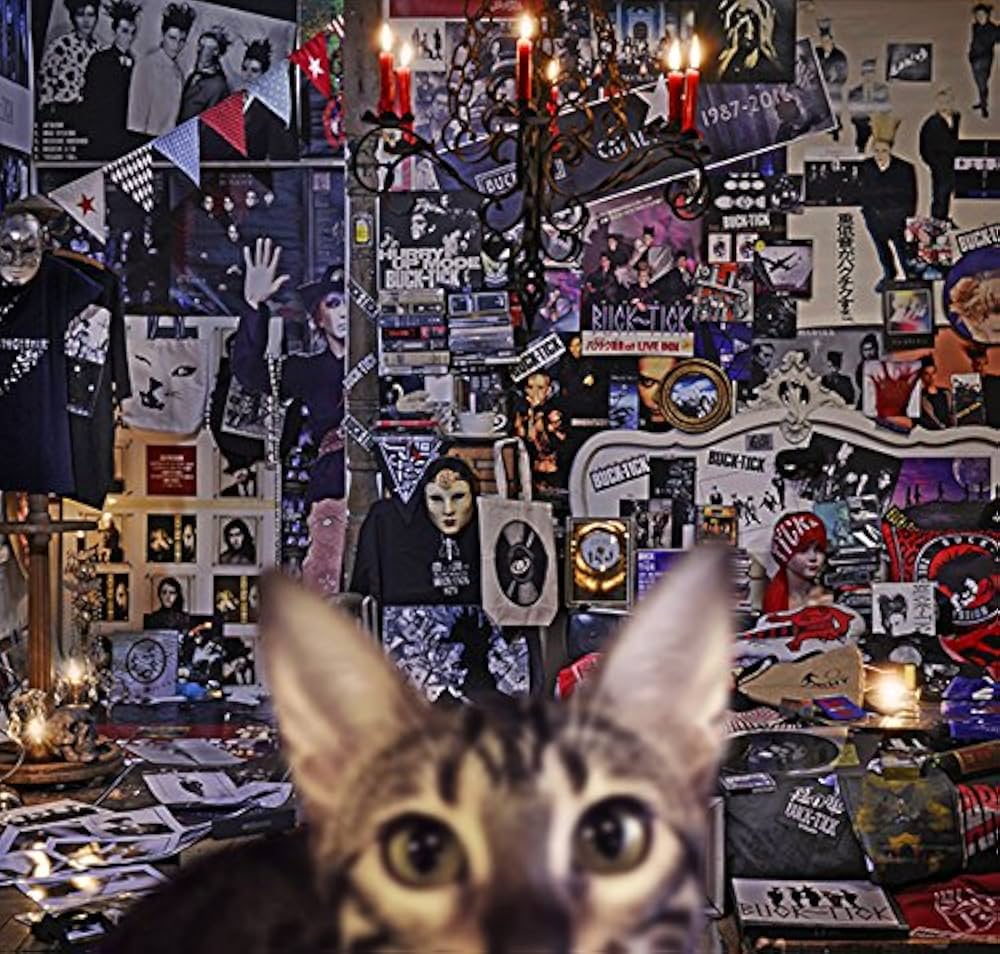 Amazon.co.jp: CATALOGUE 1987-2016 (初回限定盤B): ミュージック