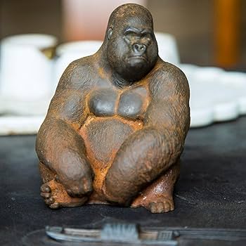 61KL27r1IWL._AC_UF350,