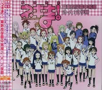 Amazon.co.jp: 魔法先生ネギま! 麻帆良学園中等部2-A : 2学期 (DVD付
