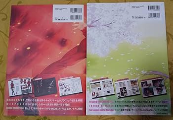 Amazon.co.jp: Fate complete material IV アレ本 収納箱付き : ホーム