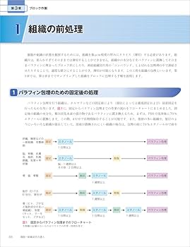 細胞・組織染色の達人〜実験を正しく組む、行う、解釈する免疫染色と