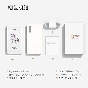 Amazon.co.jp: Bigme HiBreak Pro カラー 6.13