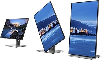 Amazon.com: Dell Ultra Sharp LED-Lit Monitor 25