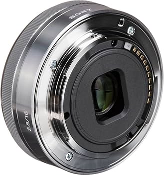 Amazon.com : Sony E 16mm F2.8 Wide-Angle Prime Lens (SEL16F28