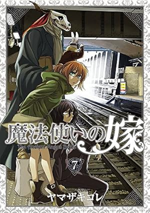 初回限定版 魔法使いの嫁 13巻(小冊子&PVCバッグ付) (BLADE COMICS SP