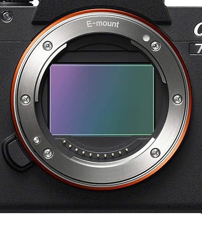 Amazon.com : Sony a7 III ILCE7M3/B Full-Frame Mirrorless
